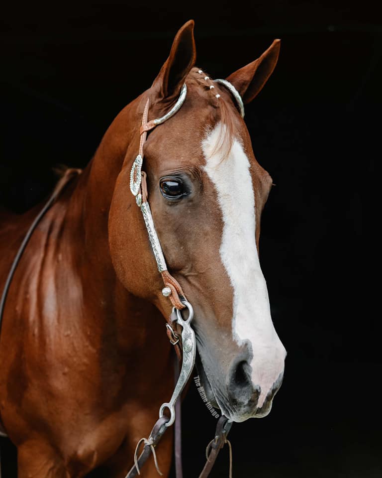 Industrial Farm Co Barn Equine Line Inspiration - The Family Horse Tator