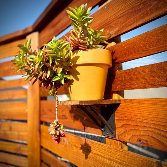 The Sawmiller Shelf Brackets - Sold Individually