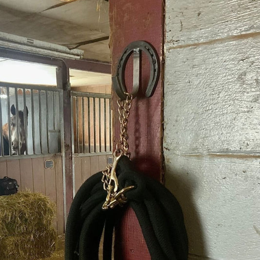 Horseshoe Wall Hook