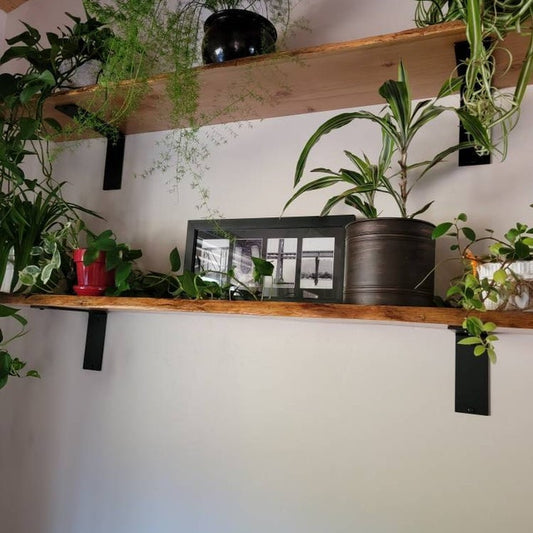 The Lorraine Shelf Support - Sold Individually