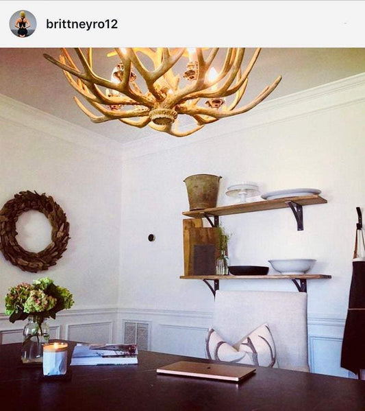 The Pops Bracket Support - Sold Individually