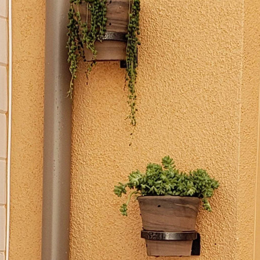 Single Wall Mounted Pot Holder